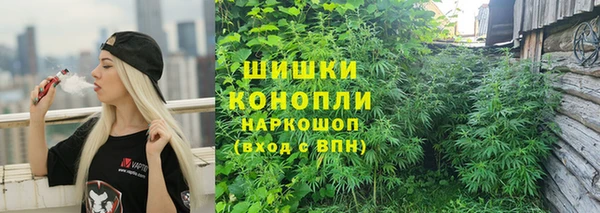 спайс Баксан