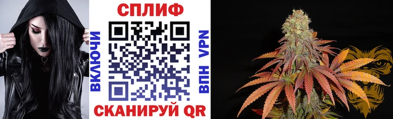 Каннабис OG Kush Шлиссельбург